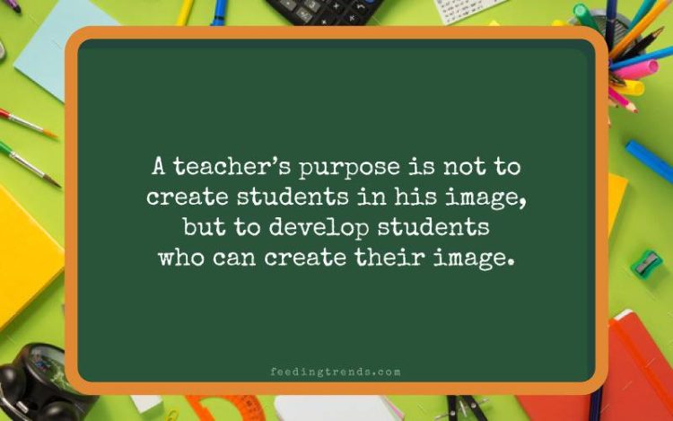 130 Meaningful Teacher Quotes, Sayings & Proverbs [+Images] - The ...