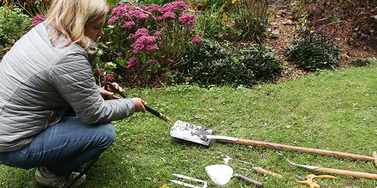 6 Things to Consider While Buying Gardening Tools