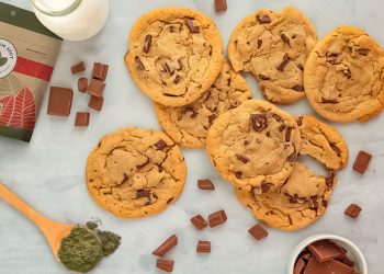 7 Recipes With Green Bali Kratom That Are A Must-Try For Fashion Influencers
