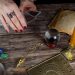 Using tips to secure free psychic reading online can give you some peace of mind and time to check different sites for how useful they are.