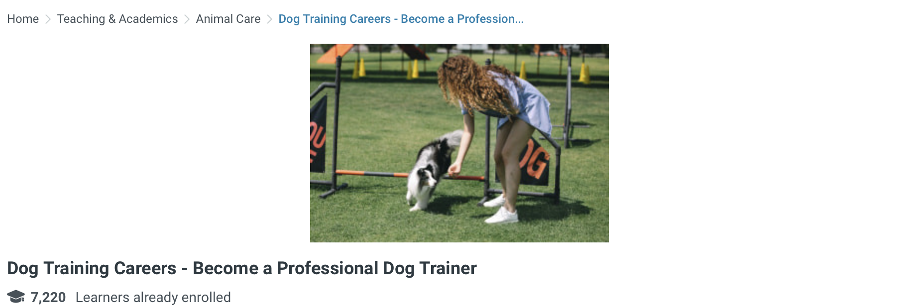 Alison Become a Professional Dog Trainer