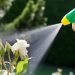 Are Pest Control Solutions Harmful to Plants?