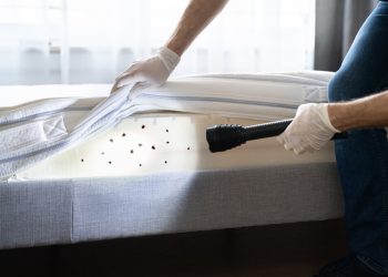 How Much Is A Pest Control Service?