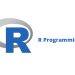 Best Online R Programming Courses