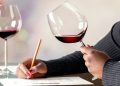 Best Online Wine Courses & Classes
