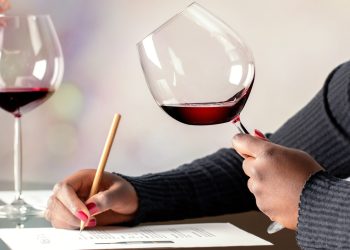 Best Online Wine Courses & Classes