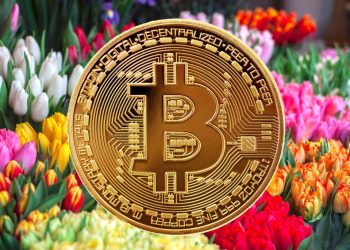 Bitcoin Casino’s Spring Blooming Fortunes: A Look Back at the Winners and Prizes