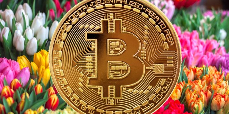 Bitcoin Casino’s Spring Blooming Fortunes: A Look Back at the Winners and Prizes