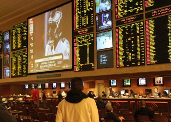 Bitcoin Sports Betting Sites: Understanding the Platform Features