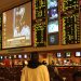 Bitcoin Sports Betting Sites: Understanding the Platform Features