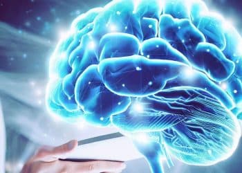 Unraveling the Brain's Mysteries