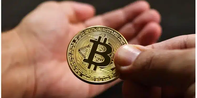 Businesses Embracing Bitcoin Transactions