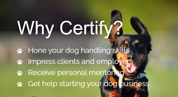 Canine Club Academy Online Certification Course in Dog Training