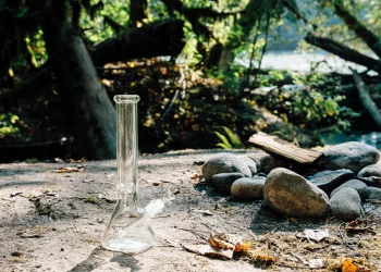 The Best Bongs for Beginners: A Guide to Getting Started