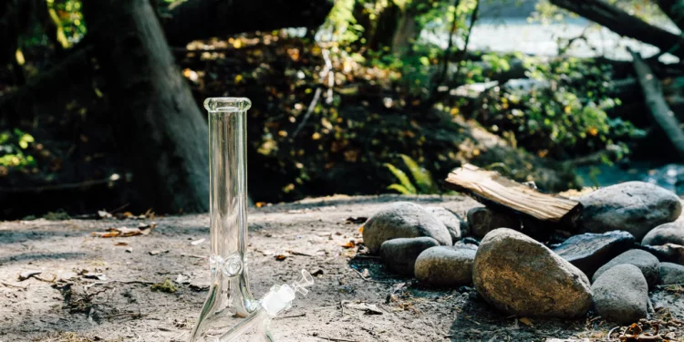 The Best Bongs for Beginners: A Guide to Getting Started