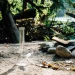 The Best Bongs for Beginners: A Guide to Getting Started