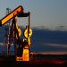 Connecting the Dots: Oil Trading's Influence on the Global Food Chain