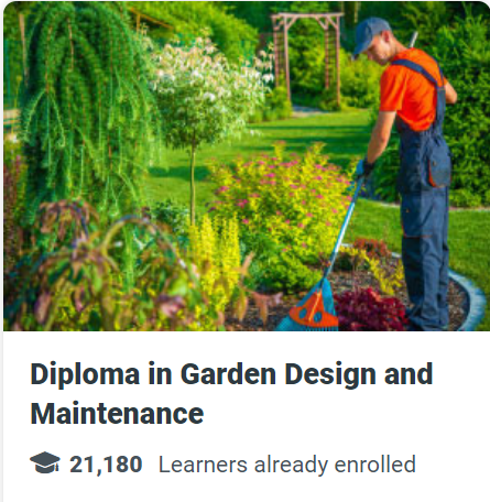 Diploma in Garden Design and Maintenance