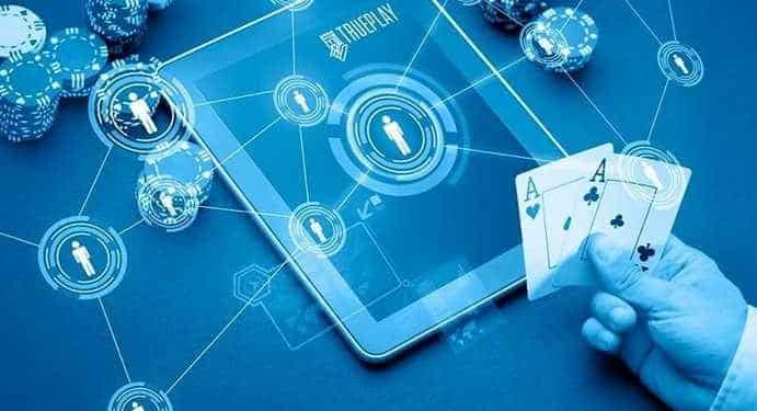 Discussing Key International Trends in Online Betting