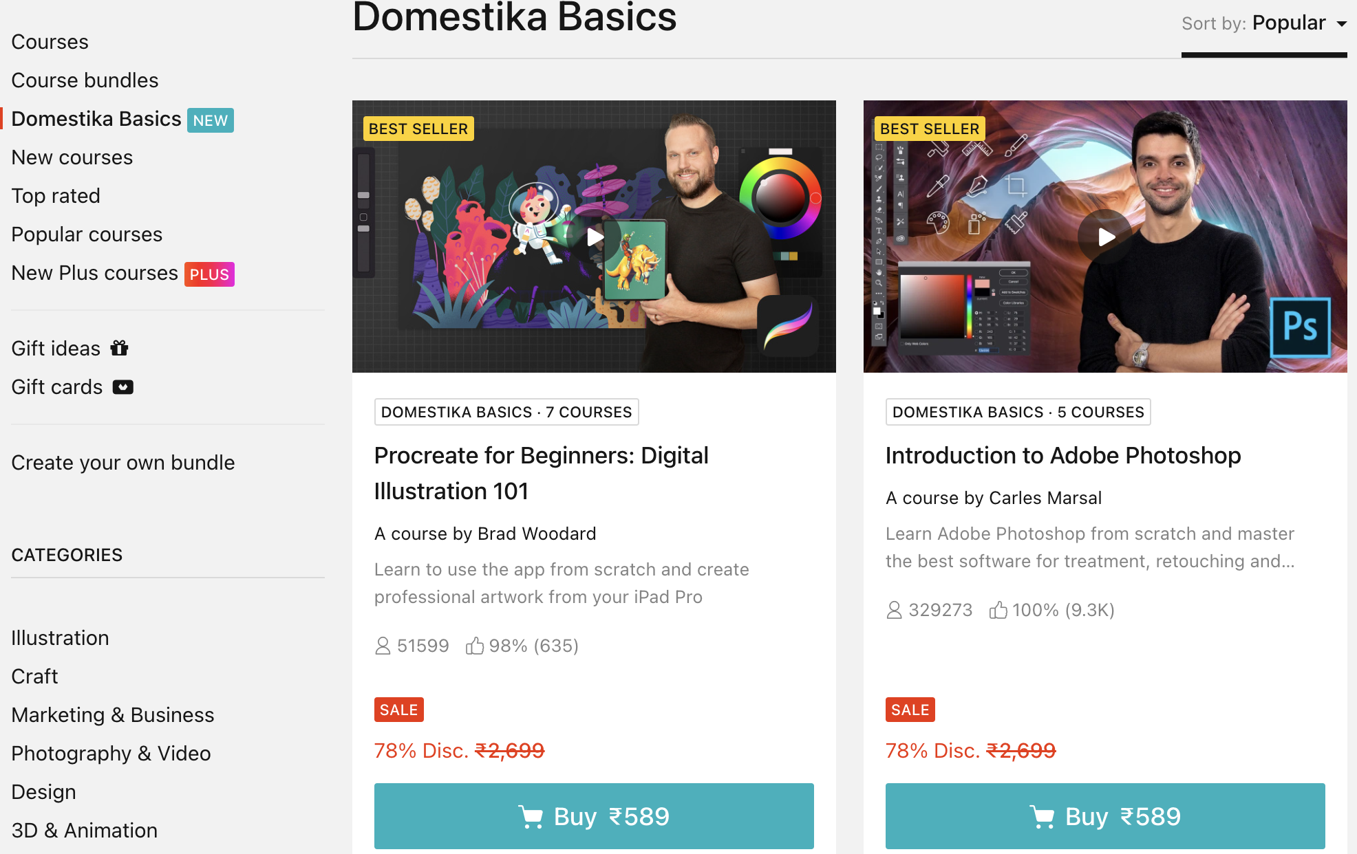 Domestika Review