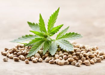 Understanding Cannabis Terpenes: Enhancing Your Experience with Strain-Specific Flavors and Aromas