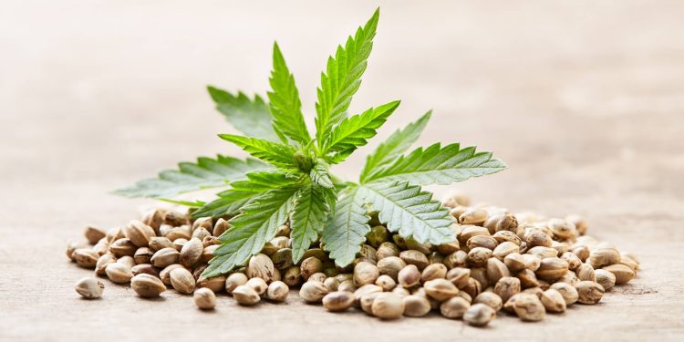 Understanding Cannabis Terpenes: Enhancing Your Experience with Strain-Specific Flavors and Aromas