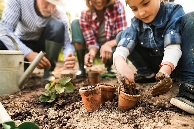 Gardening