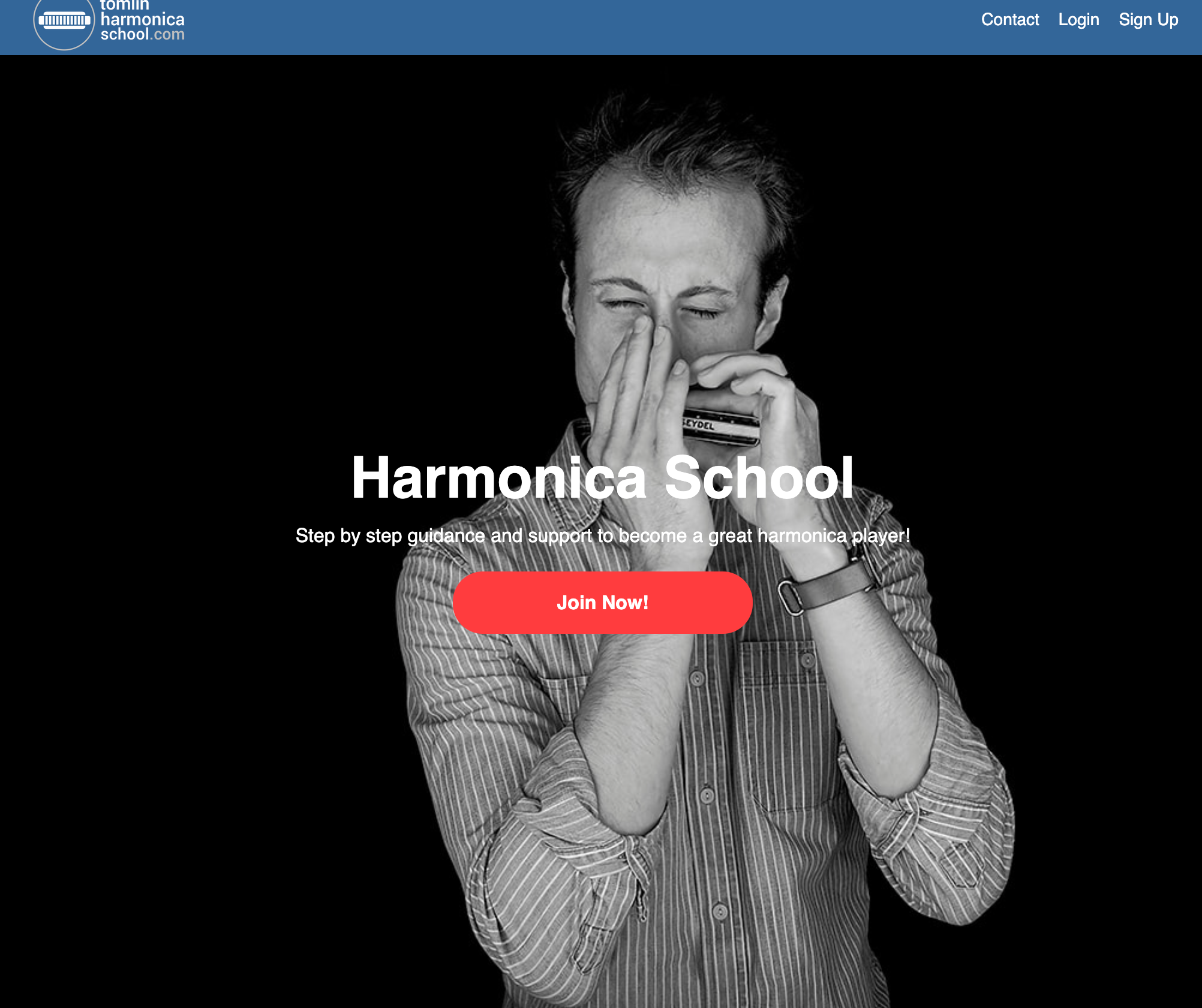 Top 15 Online Harmonica Lessons in 2023: Free and Paid Options - The  Fordham Ram