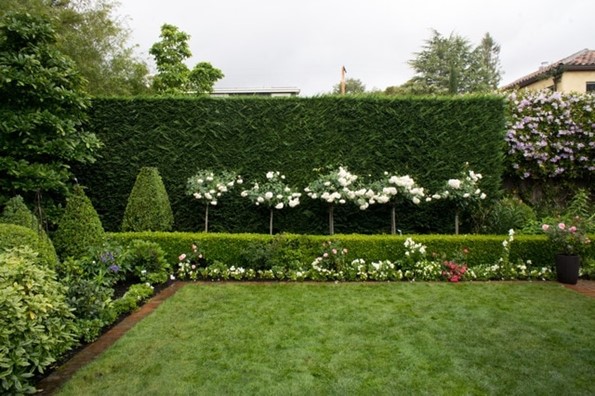Hedged Garden