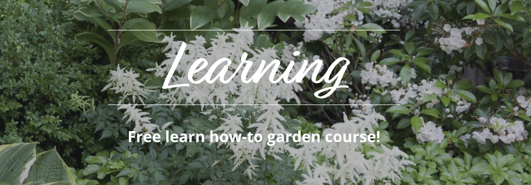 How To Garden Course