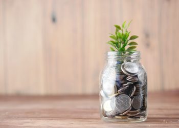 How and Where to Start Investing Online in 2024?