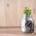 How and Where to Start Investing Online in 2024?
