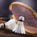 How to Choosе thе Bеst Badminton Sеt for Your Nееds?