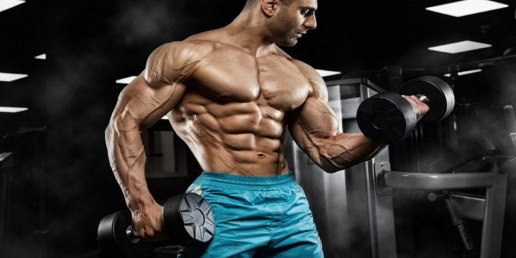 The Definitive Guide to Trenbolone Enanthate Cycle in 2023