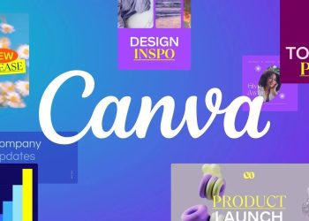 Is Canva an Essential Skill for Your Resume?