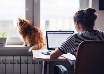 Jobs Where You Work Alone & Earn Income