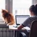 Jobs Where You Work Alone & Earn Income