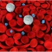 Managing Sickle-cell Anemia: New Treatment Insights