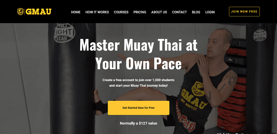 Master Muay Thai from Home