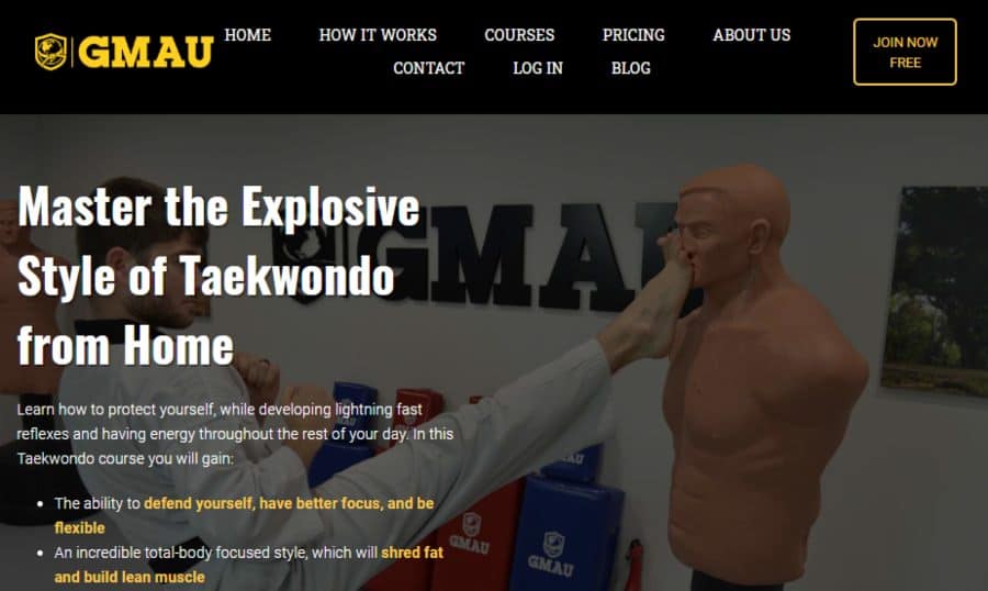 Master the-Explosive Style of Taekwondo from Home