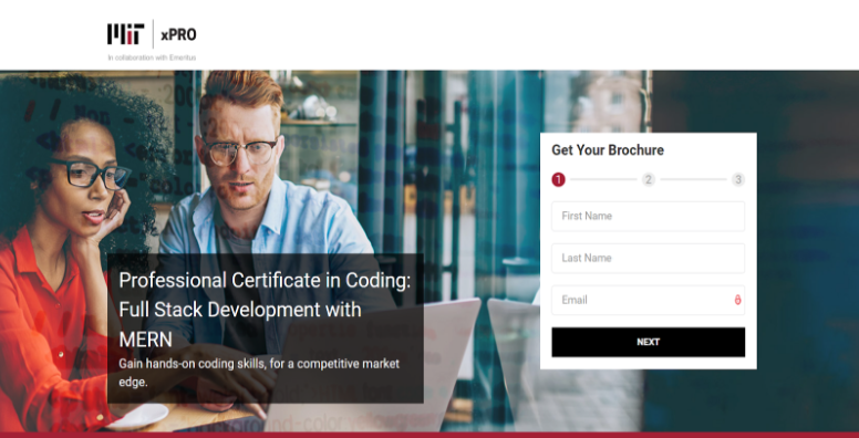 Professional Certificate in Coding