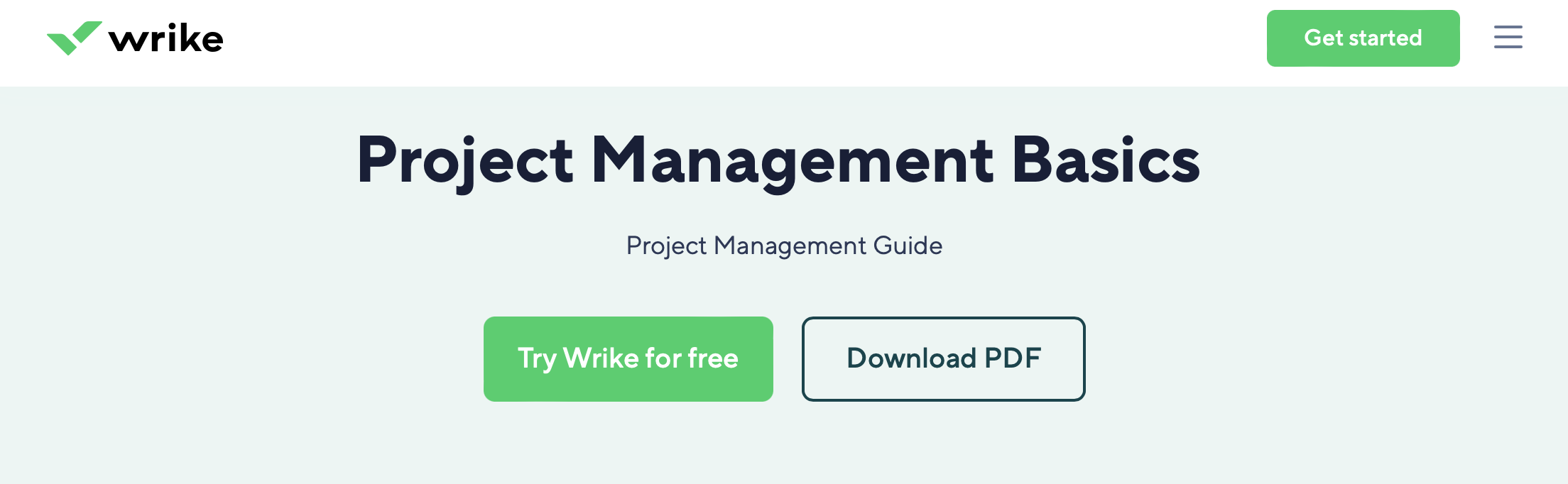 Project Management Basics