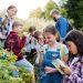 Championing the Cause of Equitable STEM Education at All Levels