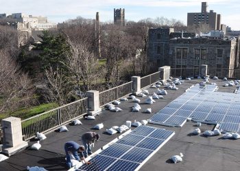 Fordham Celebrates Sustainability