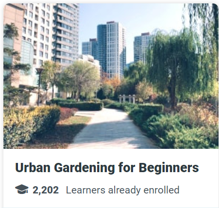 Urban Gardening for Beginners