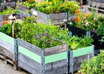 Victoria Gerrard La Crosse WI Shares How We Can Mitigate Climate Change Through Plant-Based Diets
