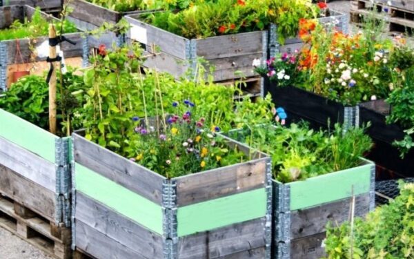 Victoria Gerrard La Crosse WI Shares How We Can Mitigate Climate Change Through Plant-Based Diets