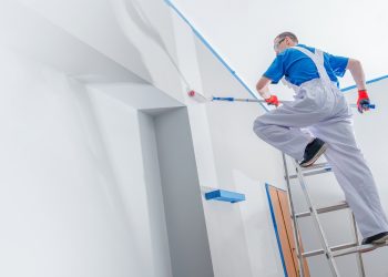 What Qualities Should I Look for in a Professional House Painter?
