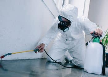 Things You Should Do Before Pest Control Arrives