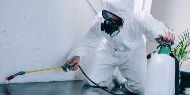 Things You Should Do Before Pest Control Arrives